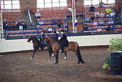 Society Horse Show